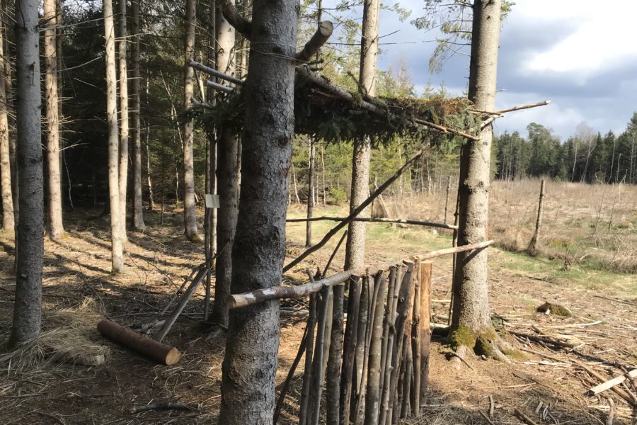 “Bäume massiv beschädigt”