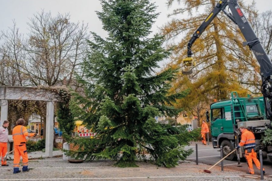 Christbaum steht