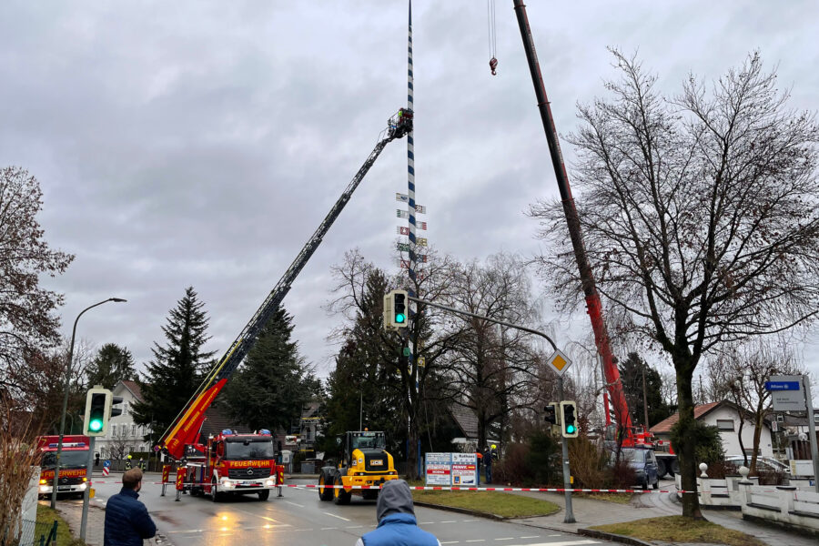 Maibaum gestutzt