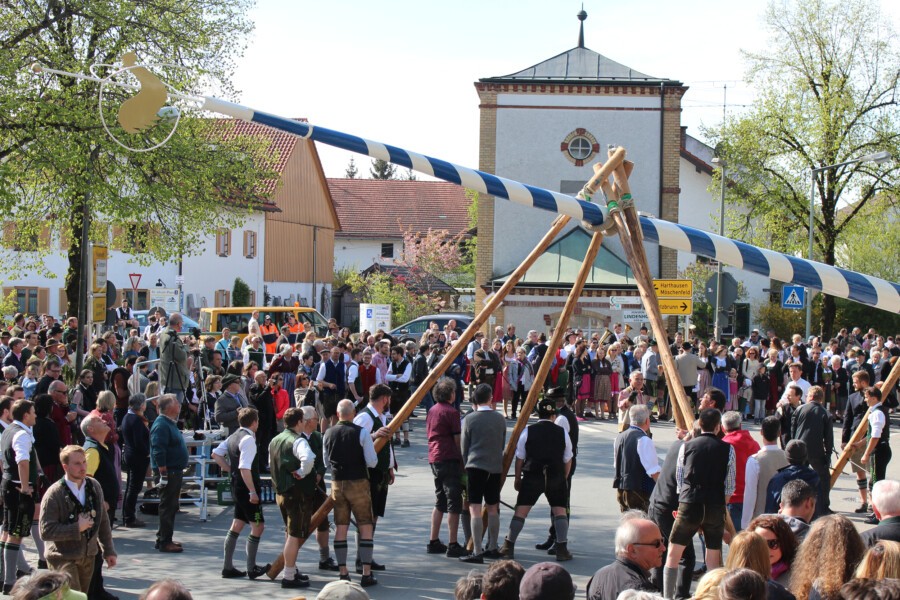 Maibaumwachen beginnen