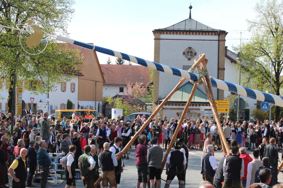 Neuer Maibaum für Grasbrunn
