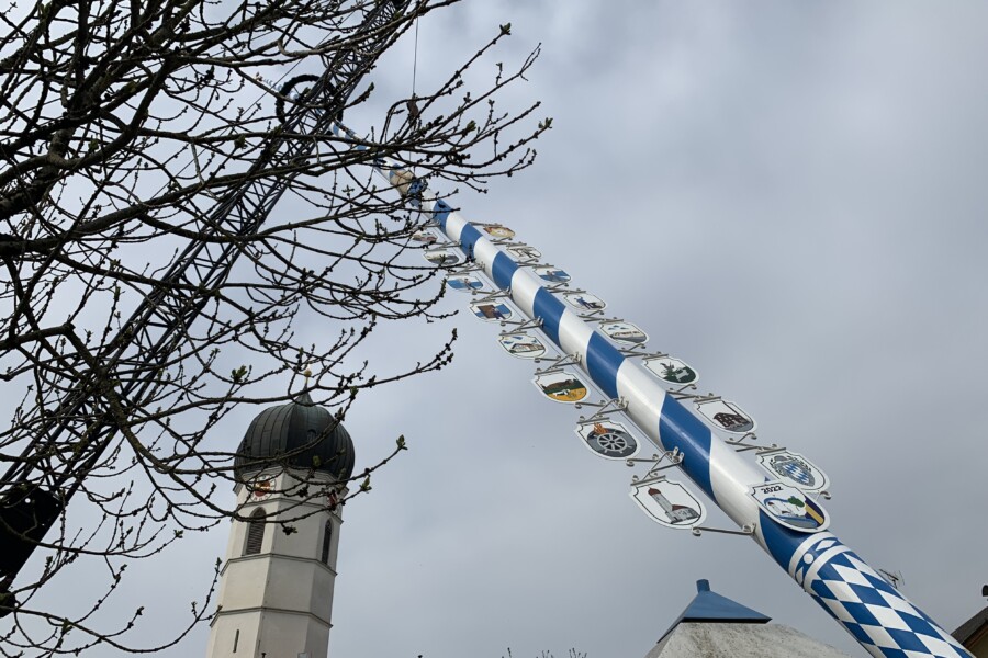 Der neue Maibaum steht!