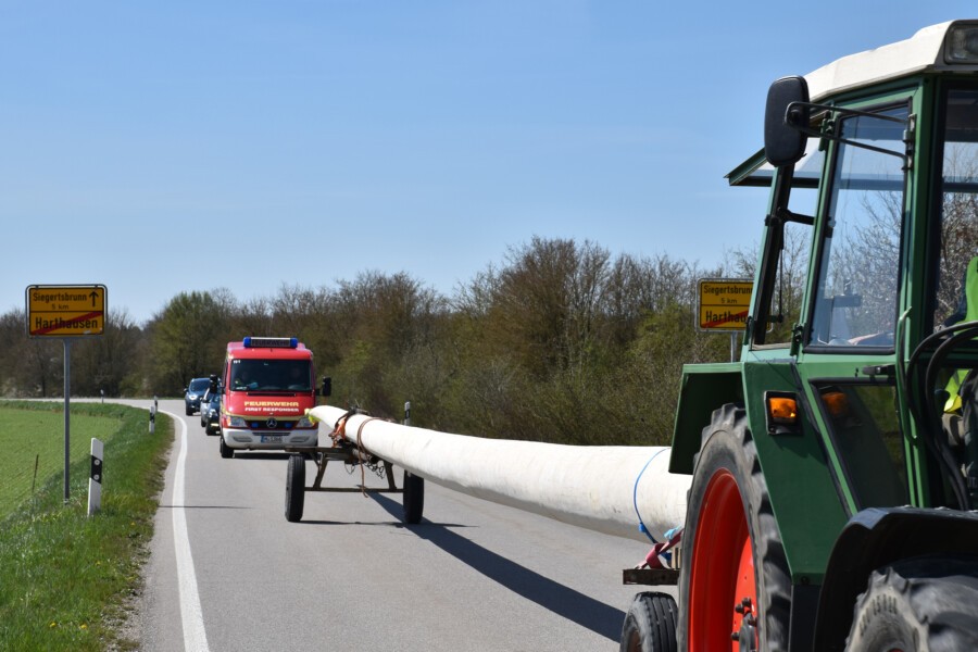 Erfolgreiche Burschen
