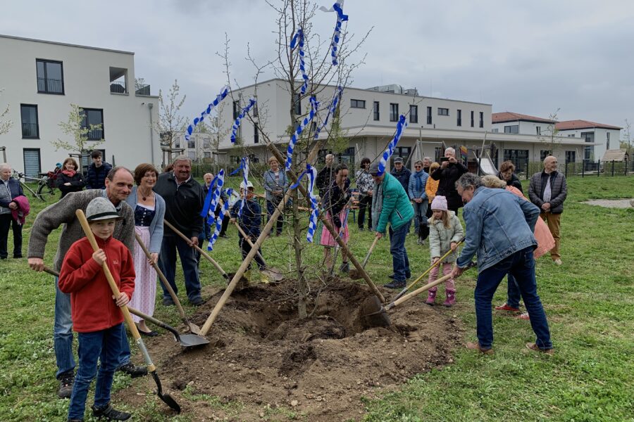 Ein Maibaum zum Klettern