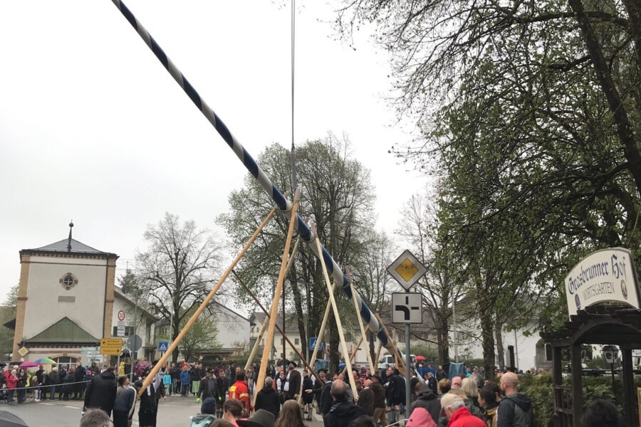 Auch Grasbrunner Maibaum steht