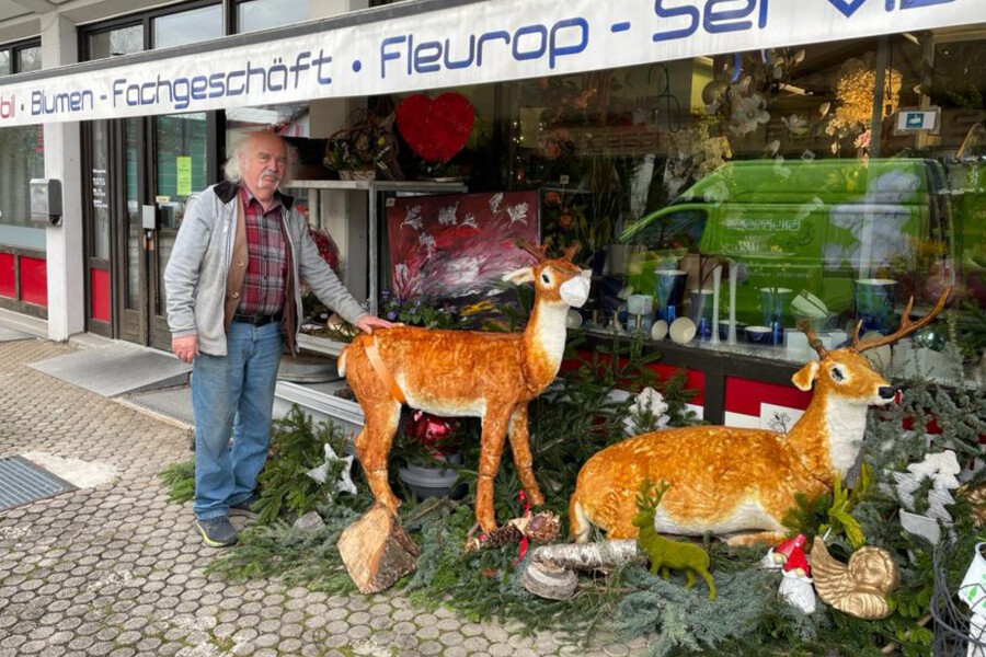 Rehbock entwendet