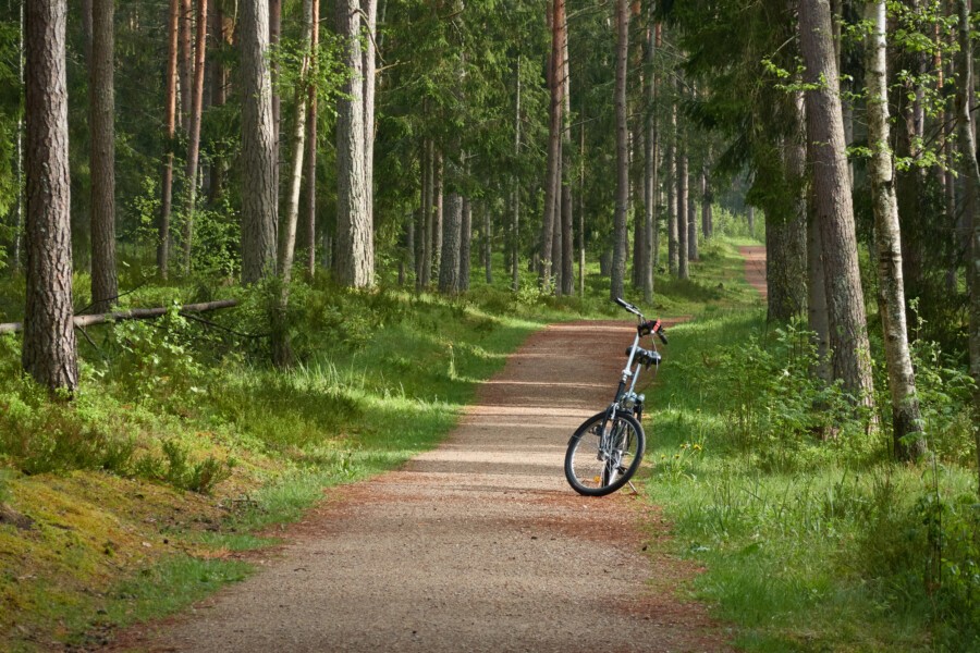 Absage an Grasbrunn: Keine Förderung für “Radwege im Wald”