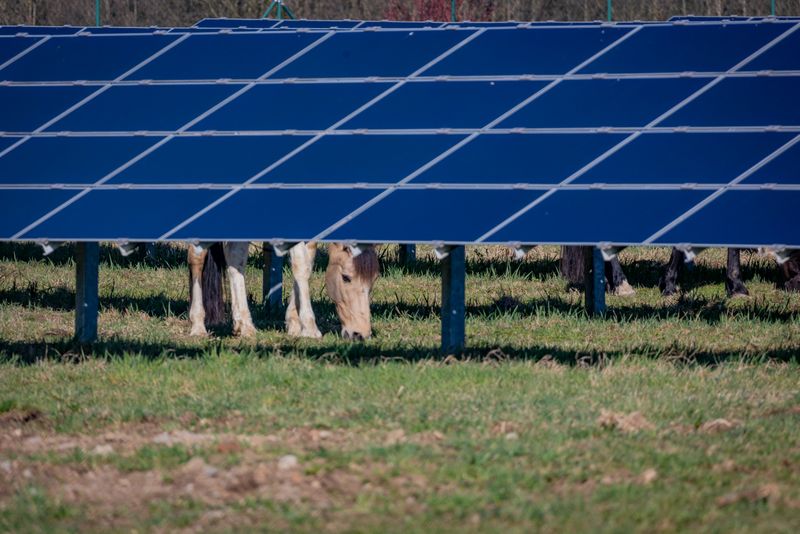 Photovoltaik-Anlage nimmt weitere Hürde