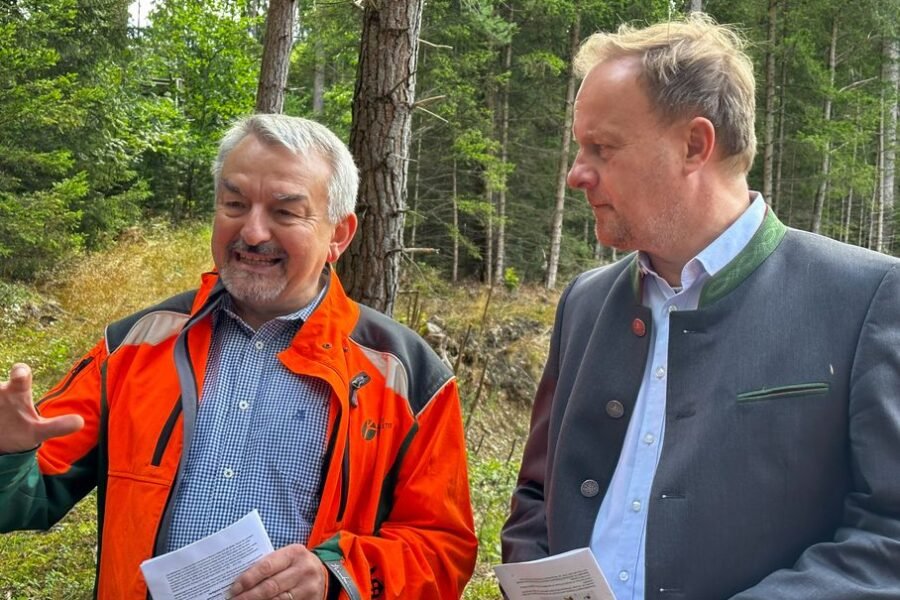 Jährliche Waldbegehung