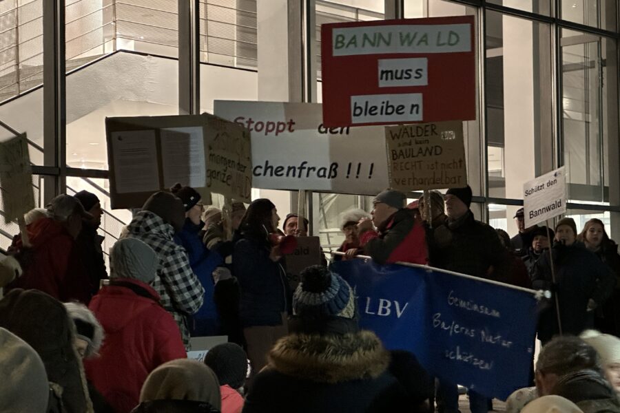 Demo und Debatte um Bannwald