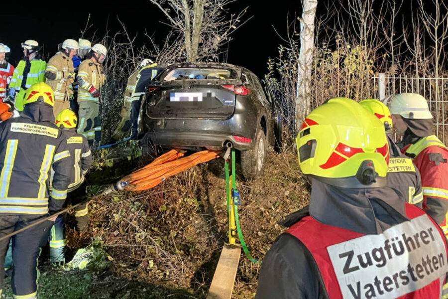 Gefangen durch Gestrüpp