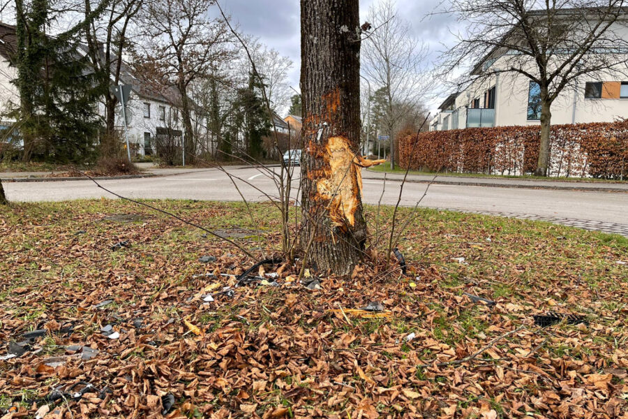 Mit 1,1 Promille gegen den Baum