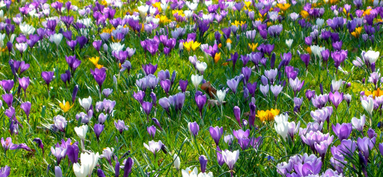 In die Kirche an Ostern