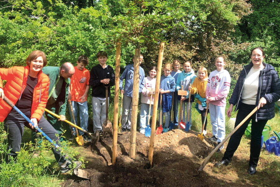 Neuer Baum für neue Klassen