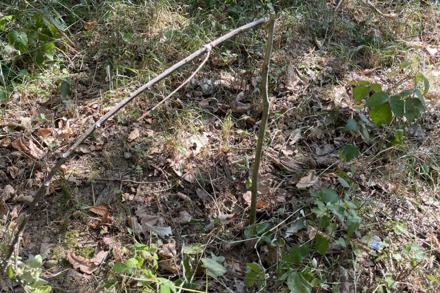 Schulwald: mit Engagement gebaut, mit Gleichgültigkeit beschädigt