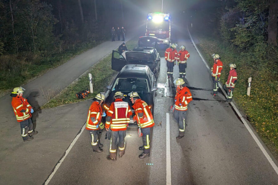 Wildunfall bei Neukeferloh