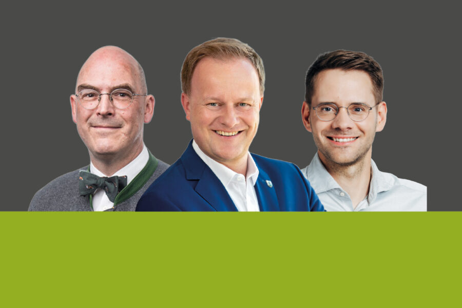 AfD und Grüne fordern Niedergesäß heraus